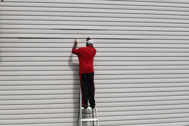 Best Residential Vinyl Siding Installation  in Cincinnati, OH