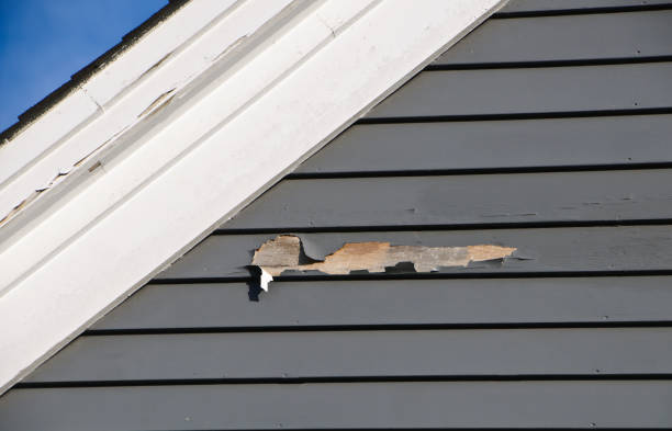 Professional Siding Installation & Repair in Cincinnati, OH